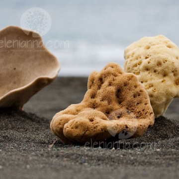 Kalymnian Natural Sea Sponge Kalymnian Natural Sea Sponge